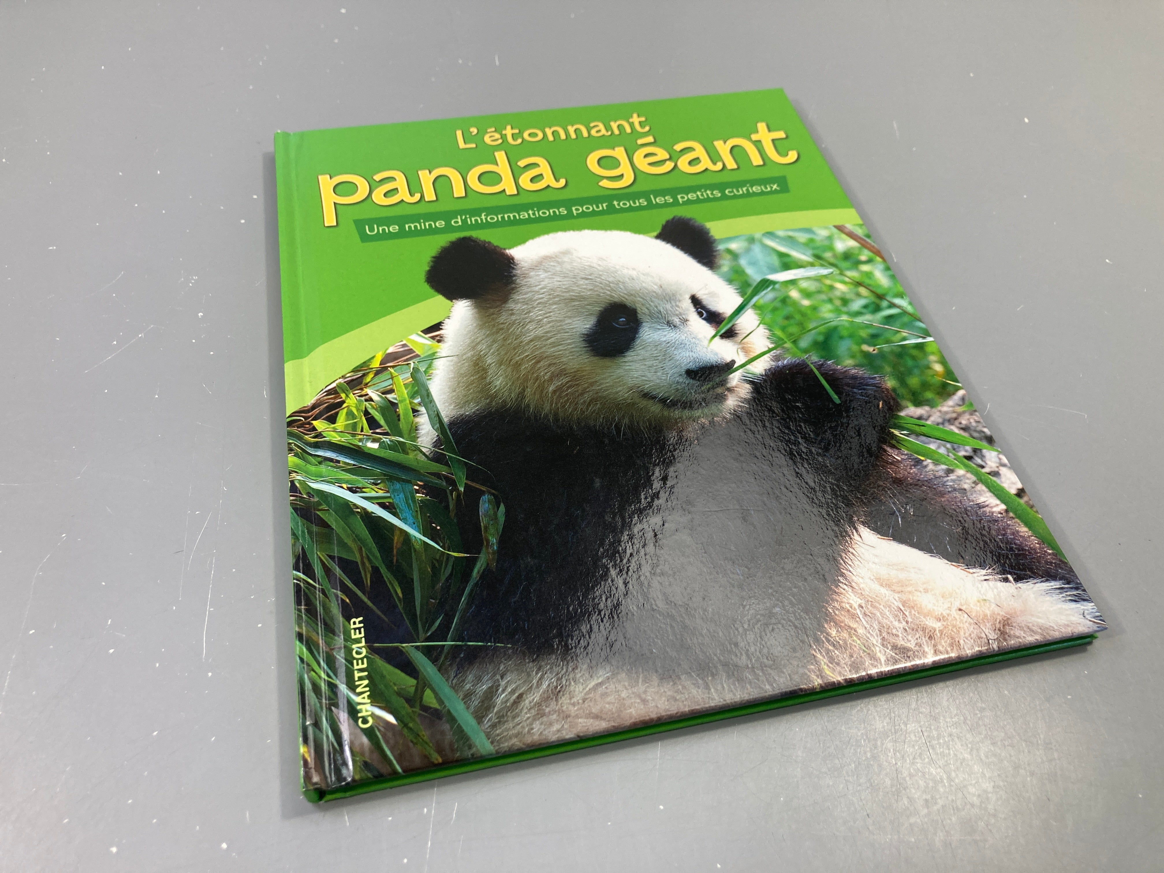 L'étonnant Panda géant