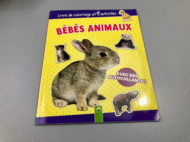 Livre de coloriage et d'activités, Bébés animaux avec autocollants,+5a, couverture déchirée, moins cher chez Petit Kiwi