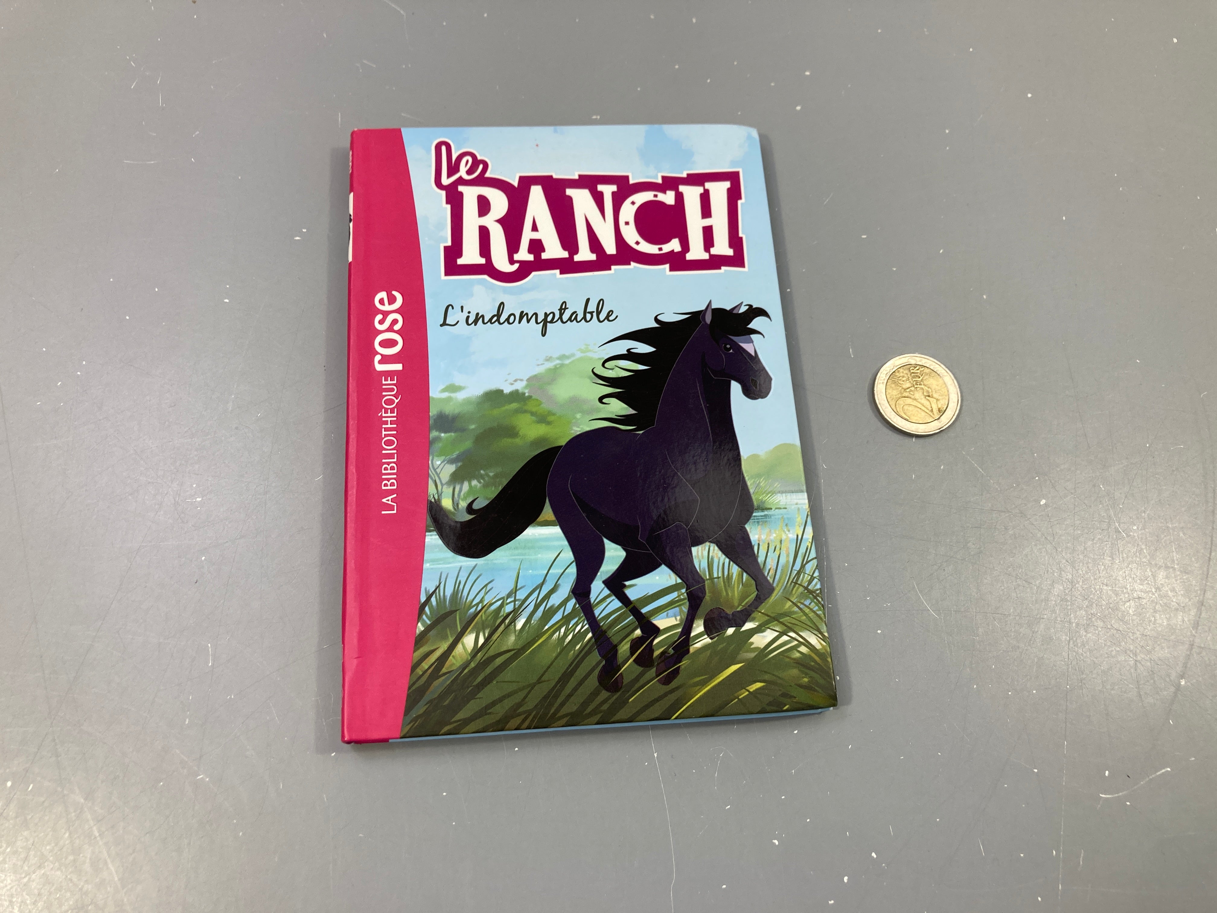 L'indomptable .  Mes amis les chevaux. La bibliothèque rose