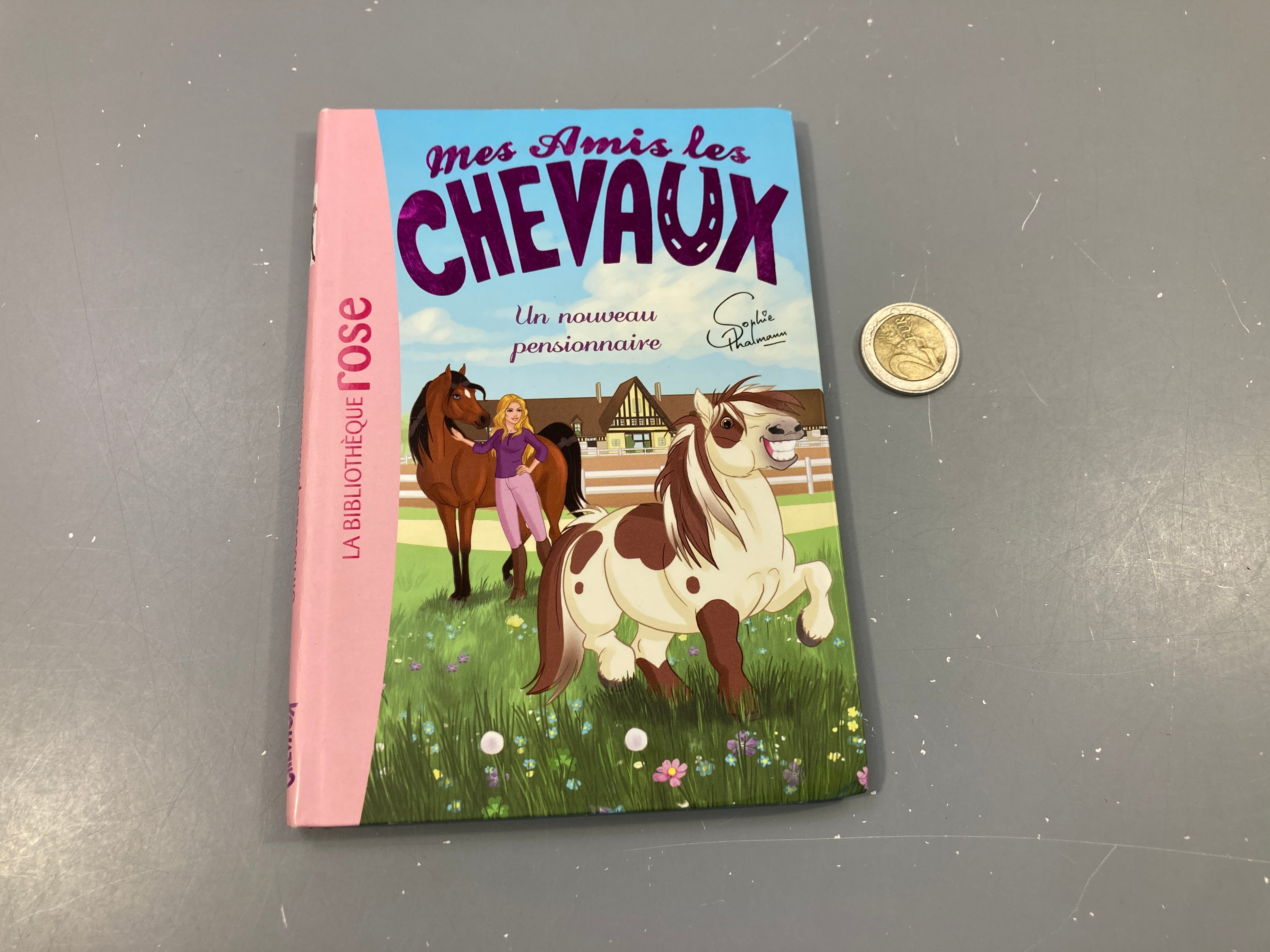 Un nouveau pensionnaire.  Mes amis les chevaux. La bibliothèque rose