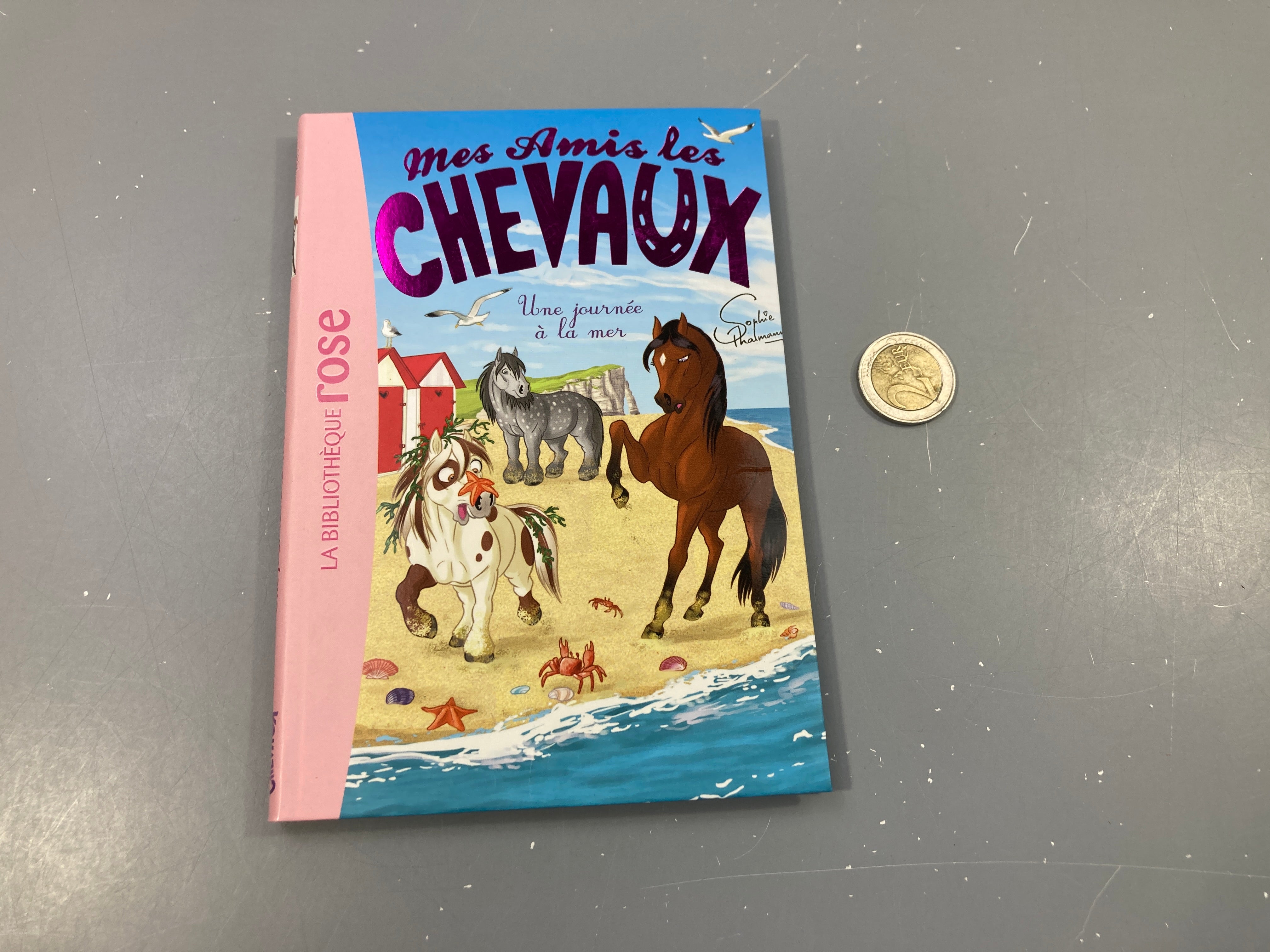 Une journée à la mer.  Mes amis les chevaux. La bibliothèque rose