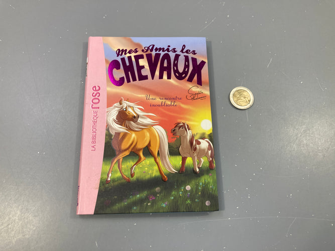 Une rencontre inoubliable.  Mes amis les chevaux. La bibliothèque rose, moins cher chez Petit Kiwi