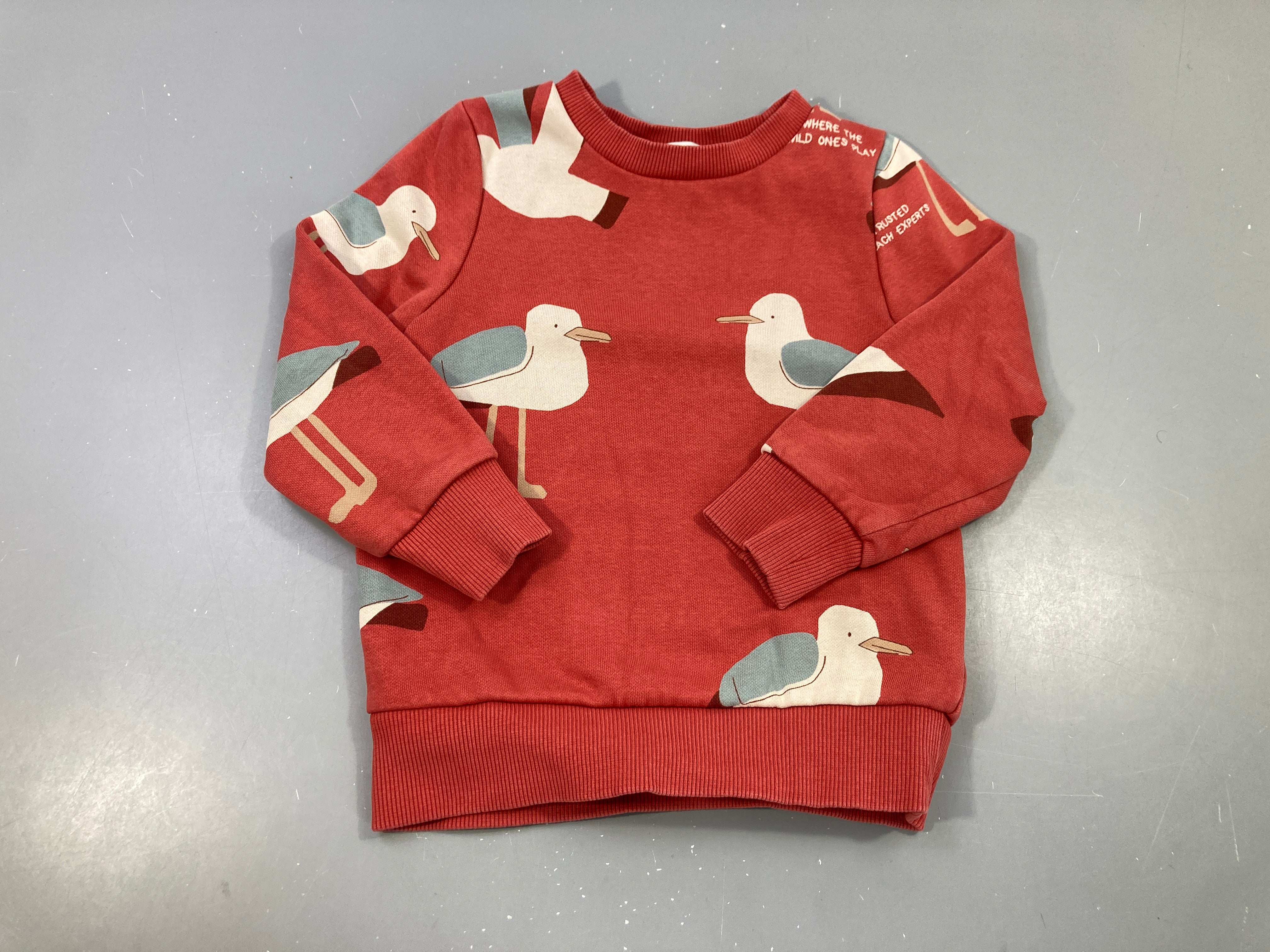 Sweat rouge mouettes