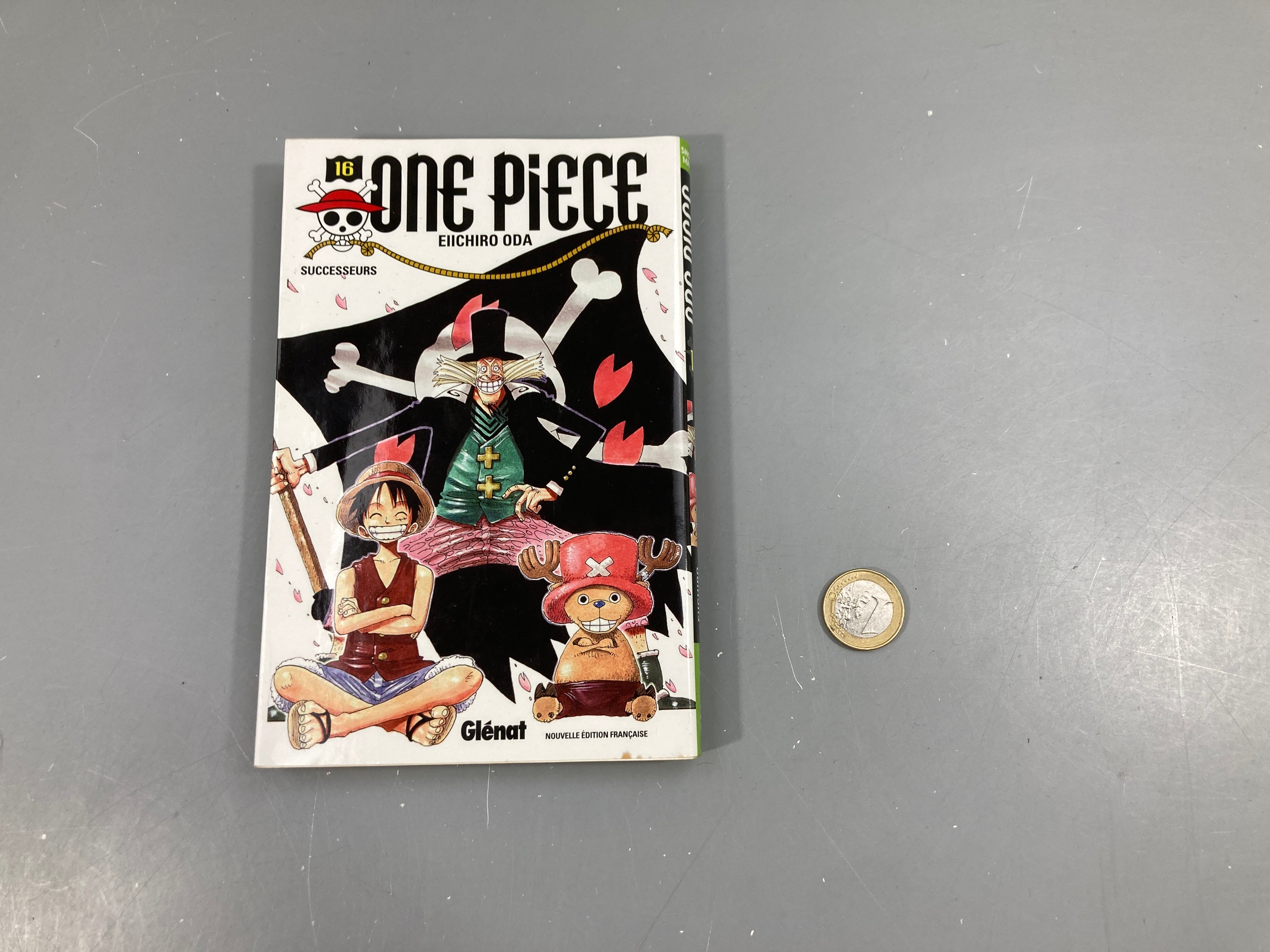 16 One piece- Successeurs