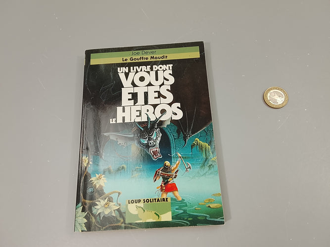 Un livre dont vous êtes le héros ., moins cher chez Petit Kiwi
