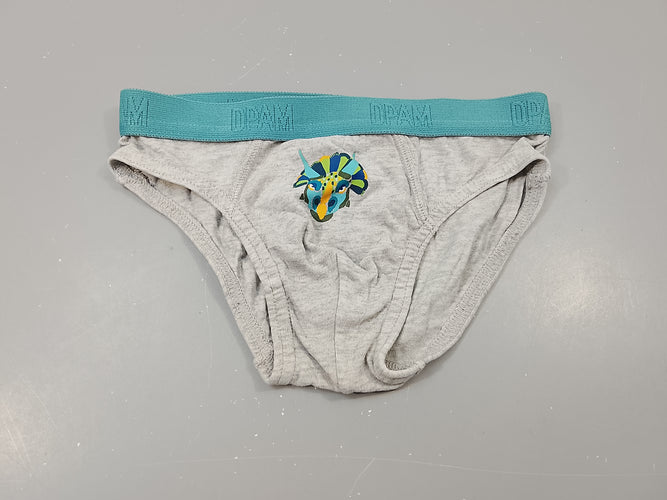 Slip gris flammé, dinosaure, moins cher chez Petit Kiwi
