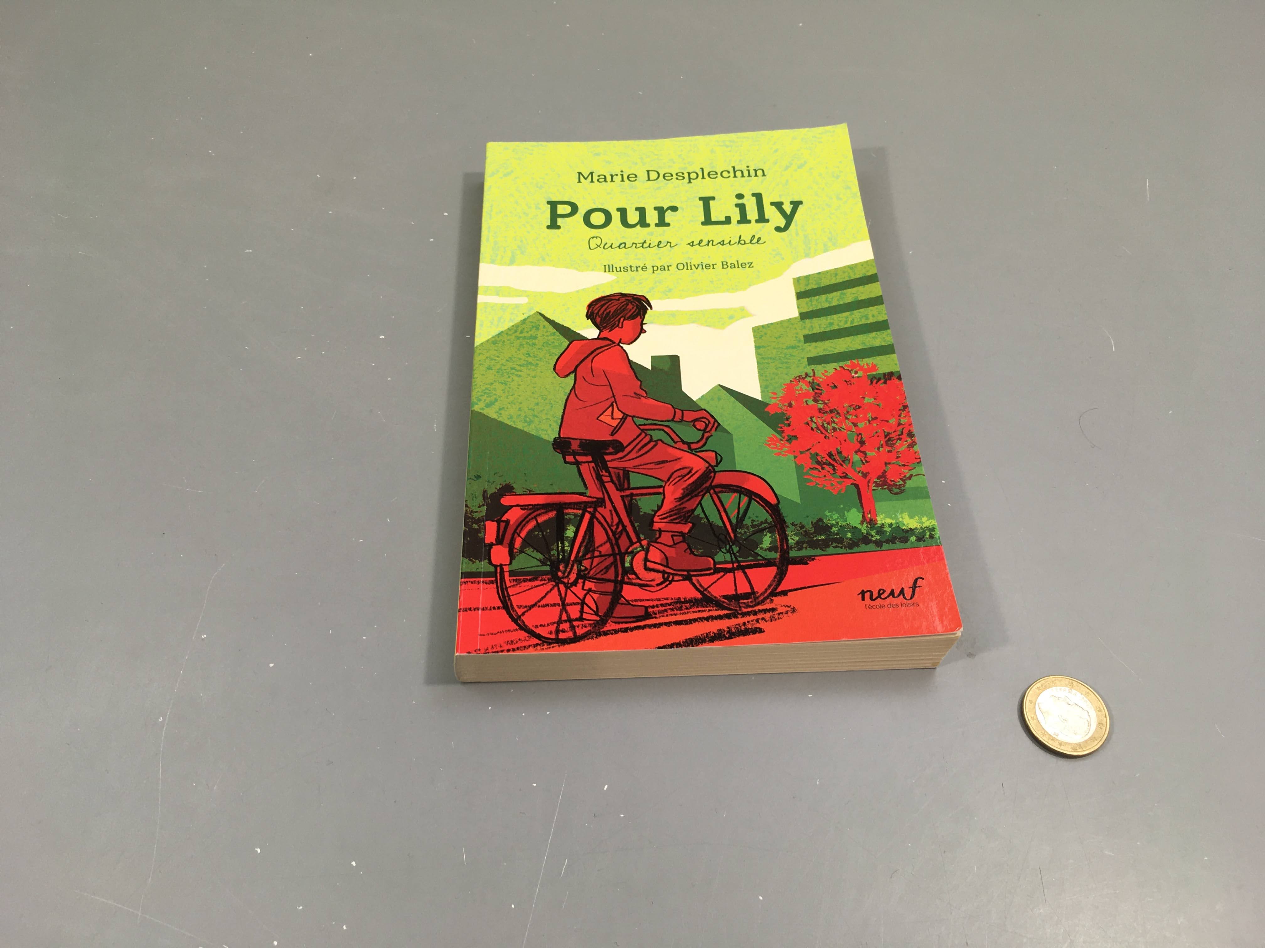 Pour Lilly-Quartier sensible-Ecole des loisirs
