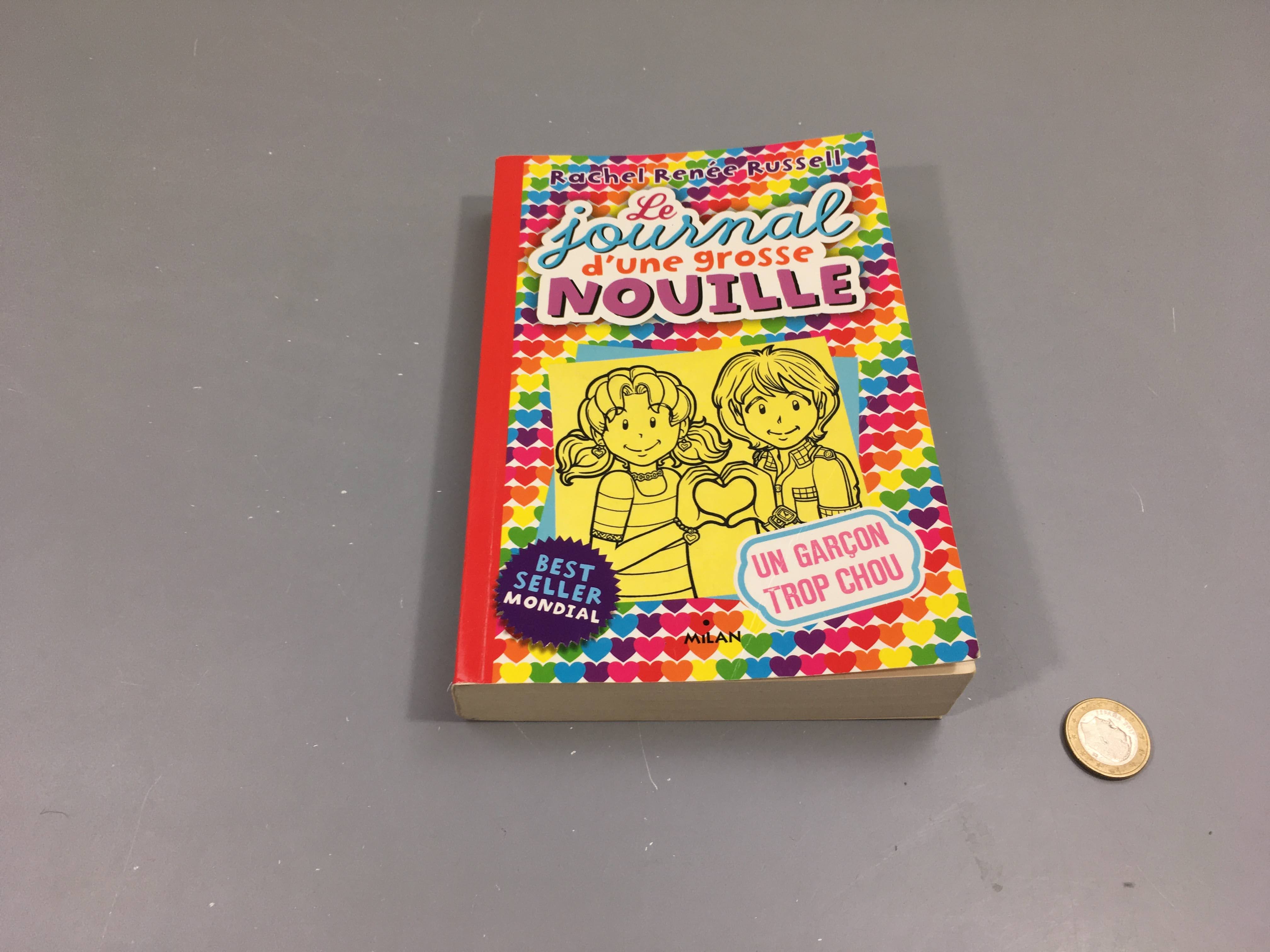 12-Un garçon trop chou-Le journal d'une grosse nouille