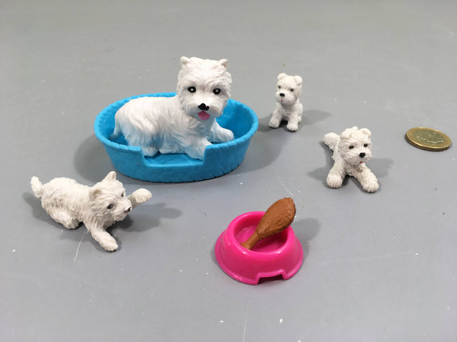 Lots de chien-chiots avec panier et gamelle, moins cher chez Petit Kiwi
