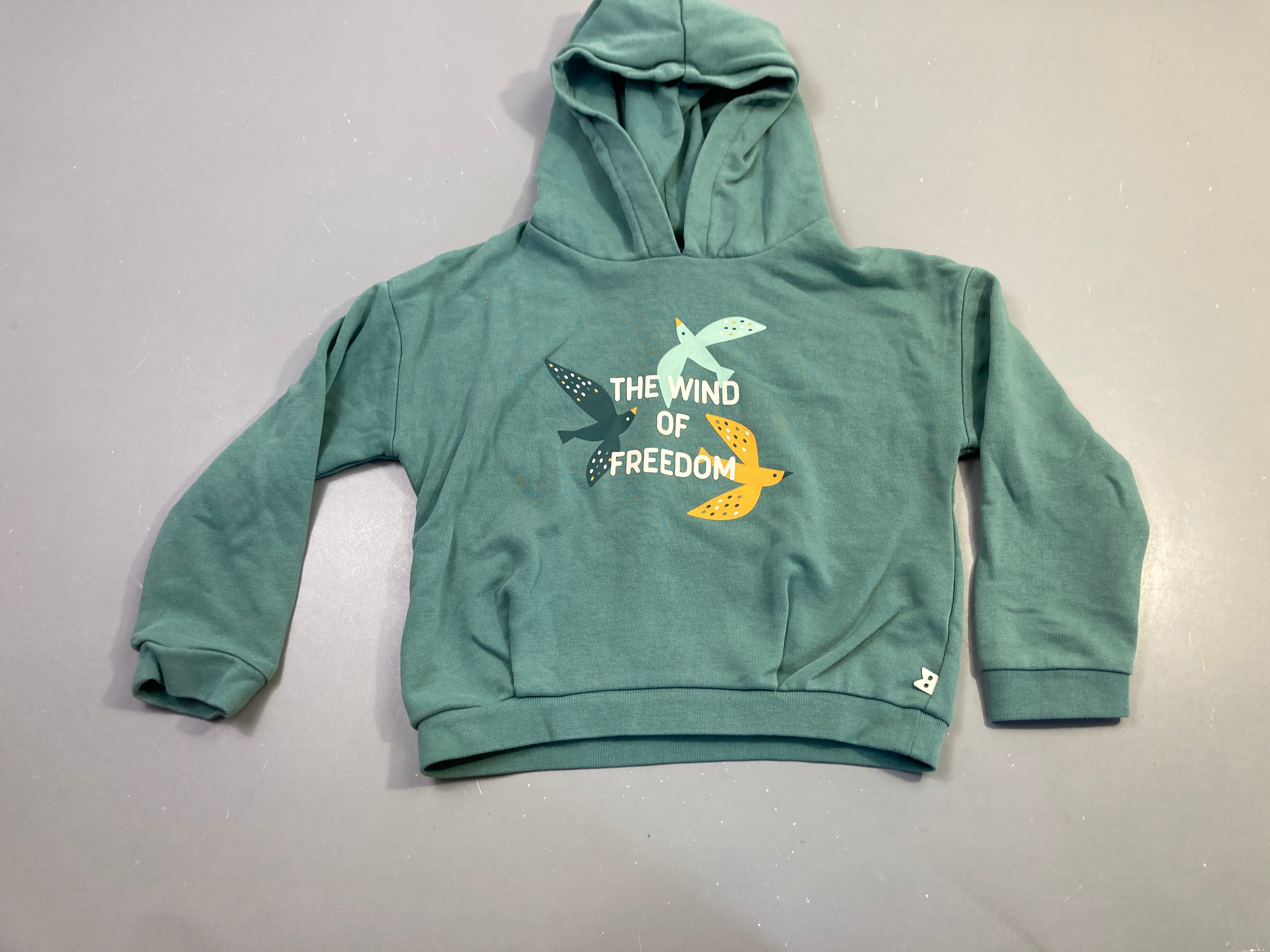 Sweat capuche vert imprimé oiseaux