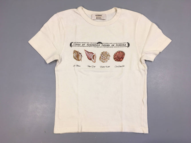 T-shirt m.c beige coquillages, moins cher chez Petit Kiwi