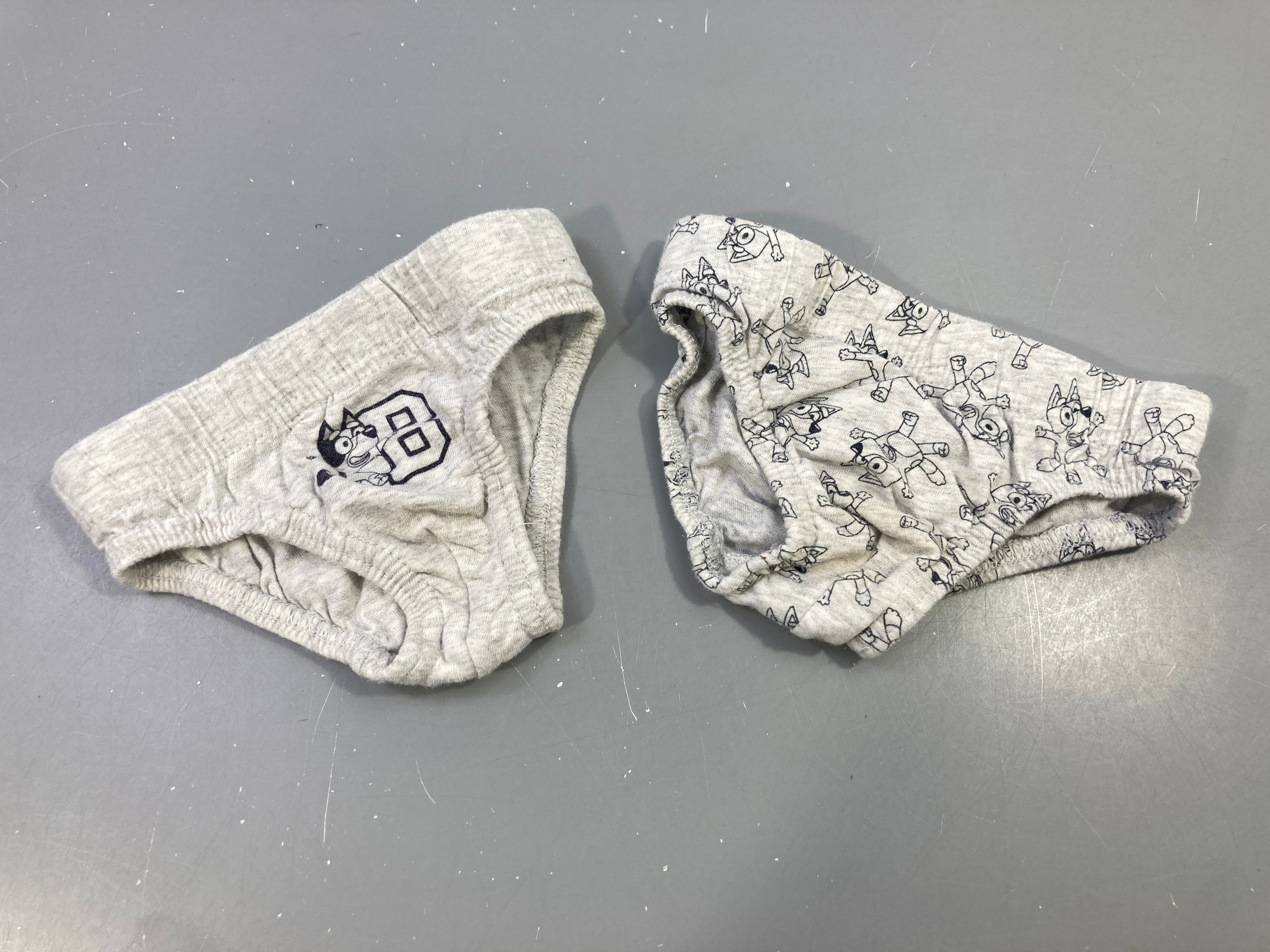 Lot de 2 slips gris Bluey