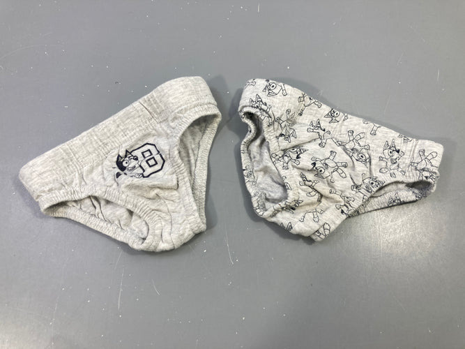 Lot de 2 slips gris Bluey, moins cher chez Petit Kiwi