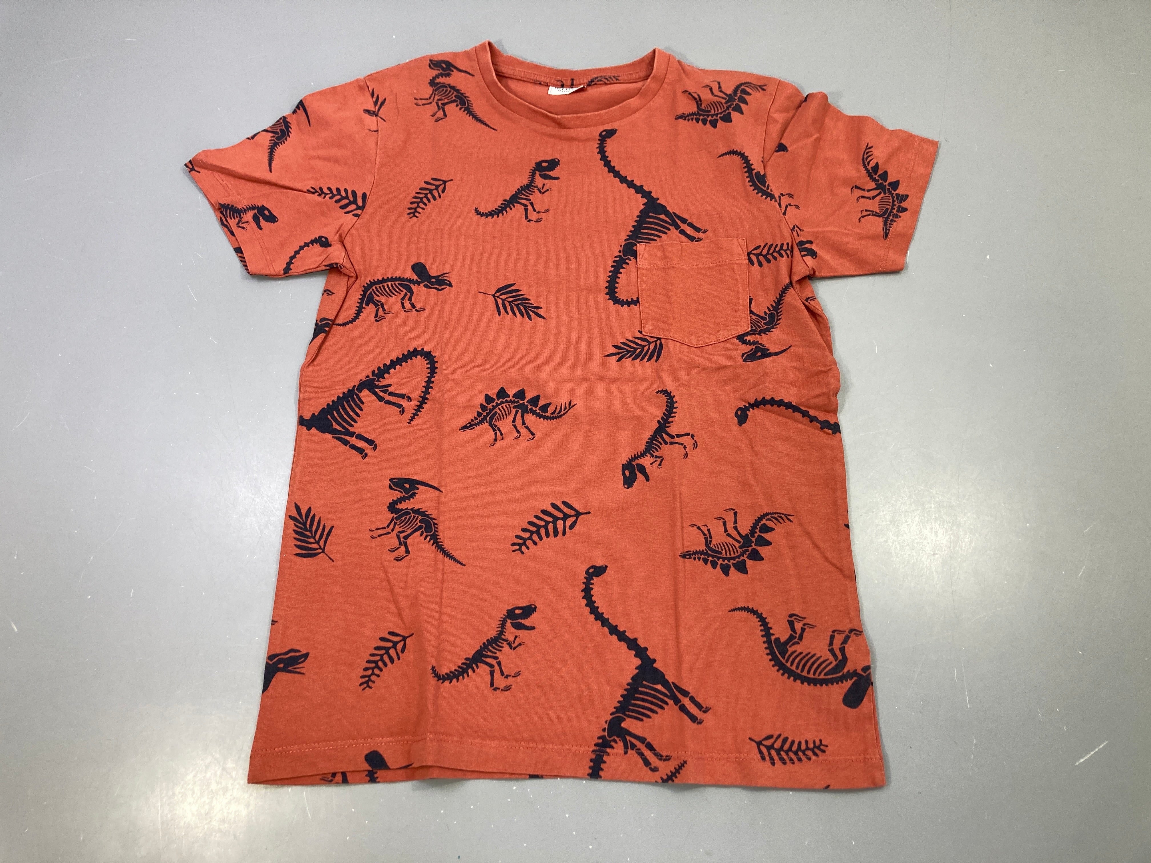 T-shirt m.c terracotta dinosaures poche