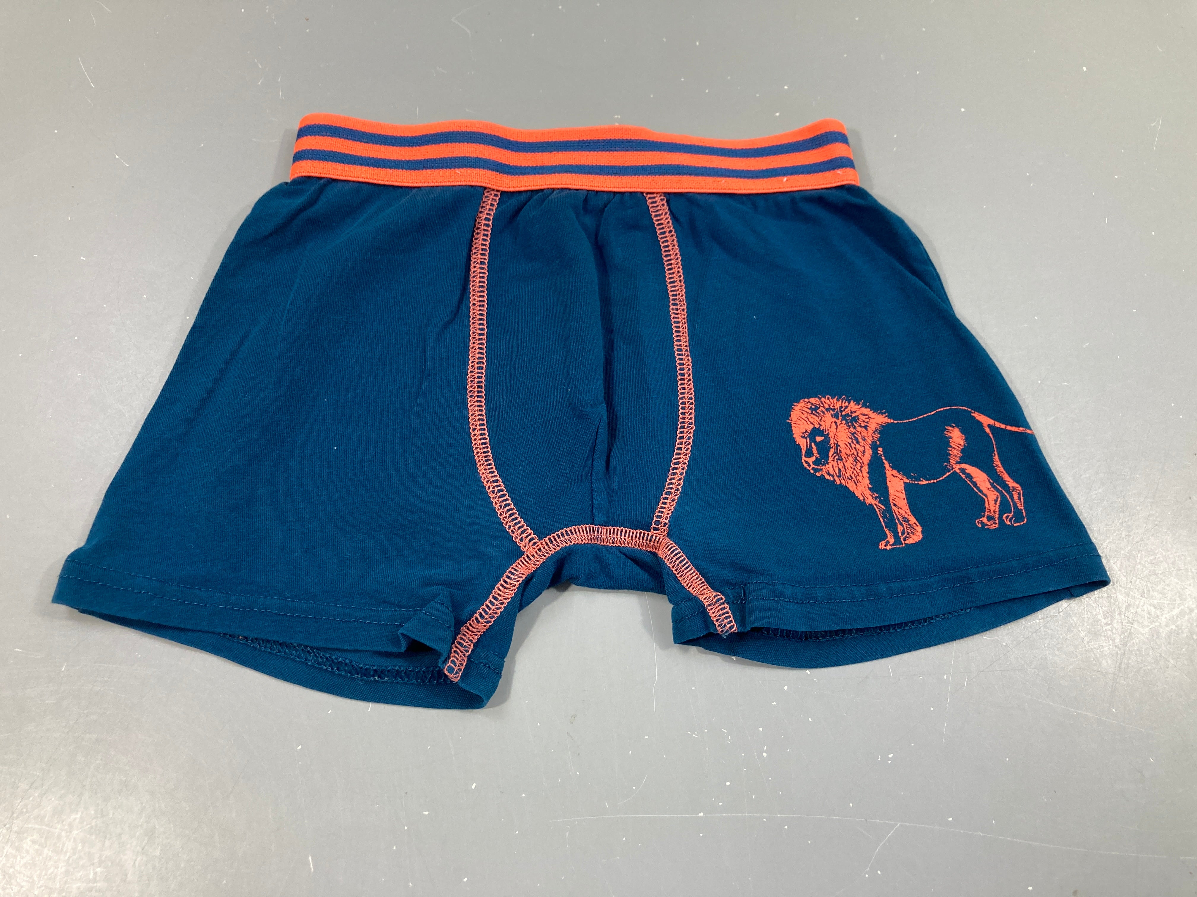 Boxer bleu/orange lion