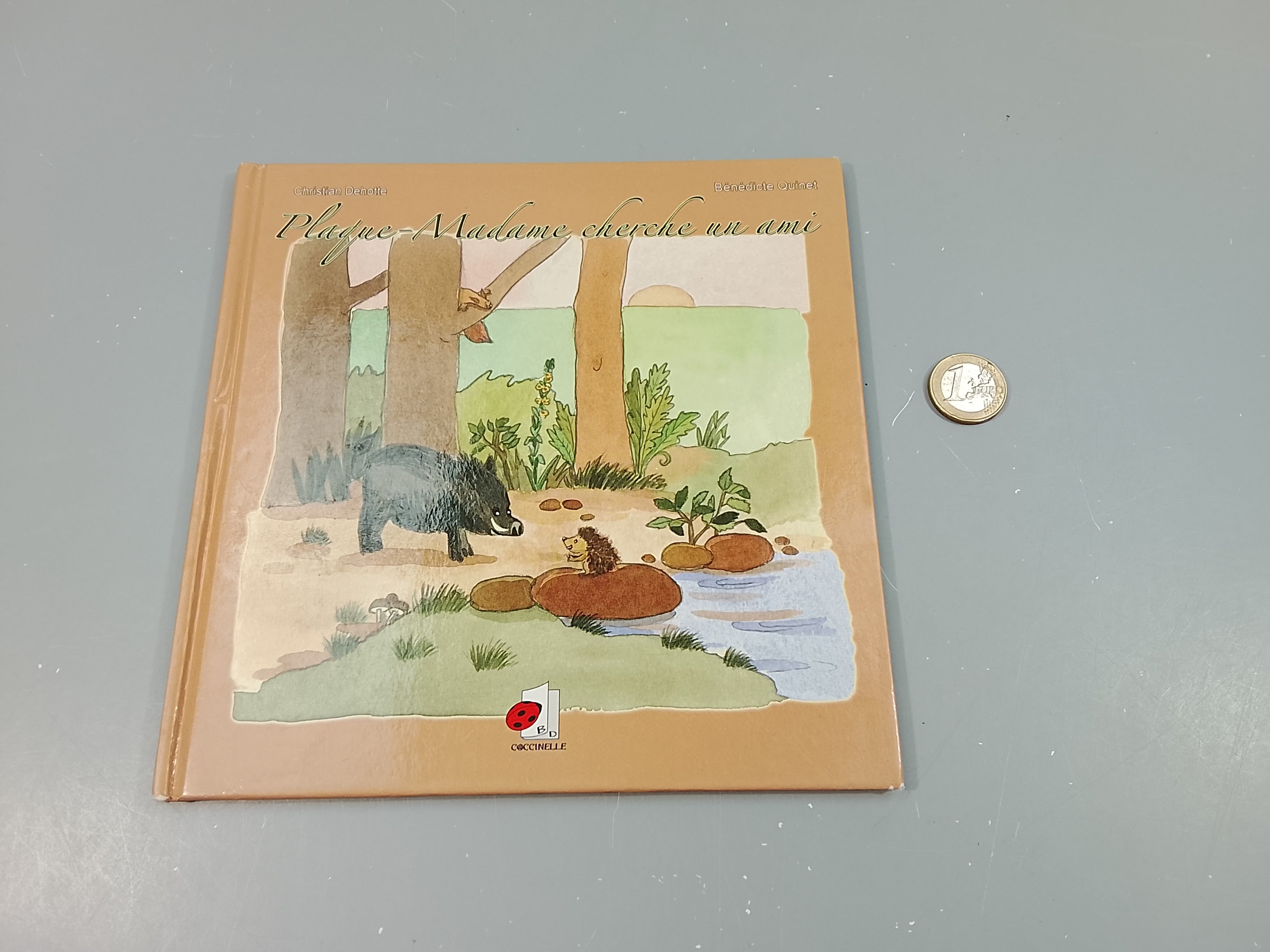 Plaque-Madame cherche un ami.