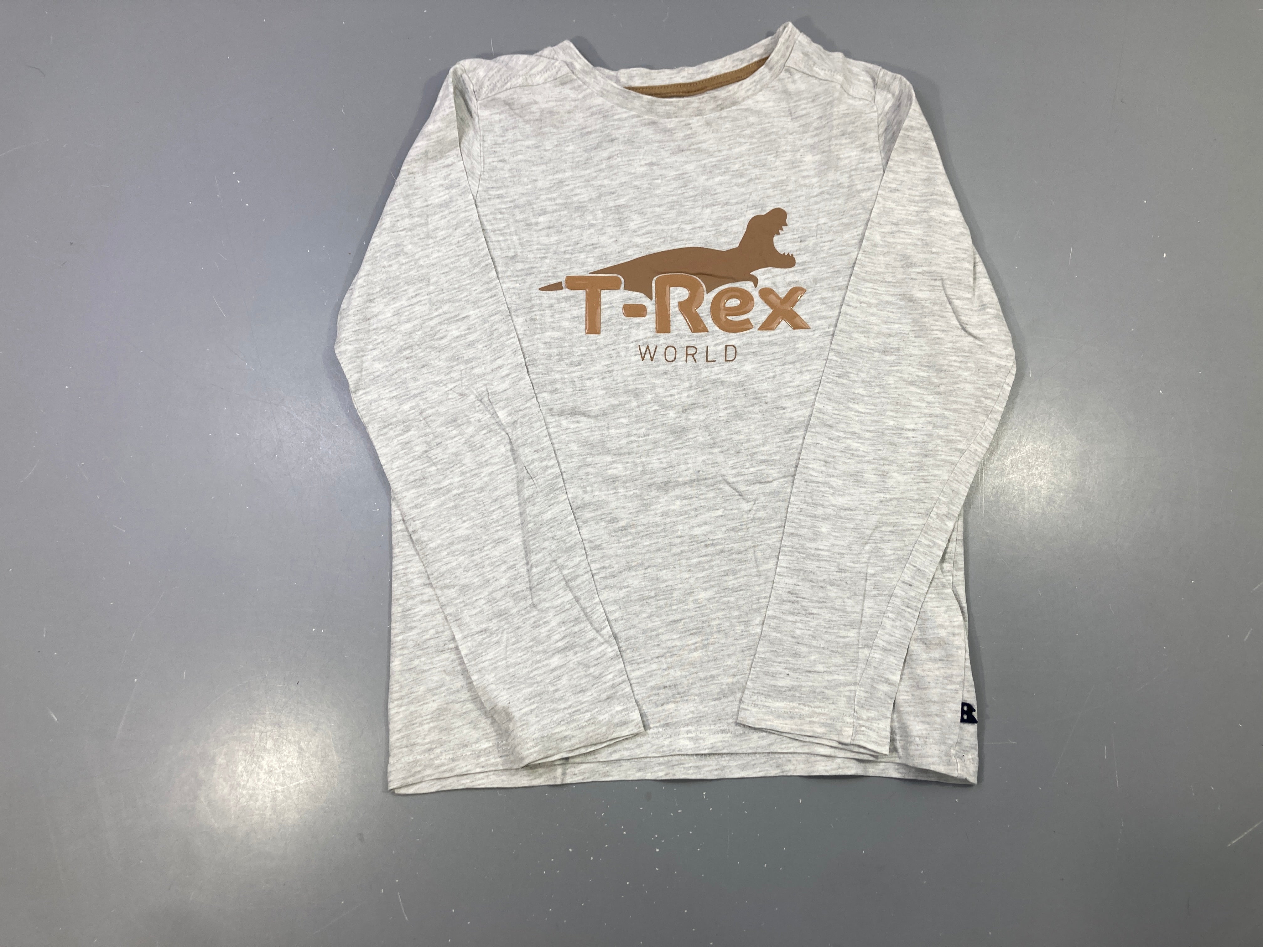 T-shirt m.l gris clair flammé T-rex