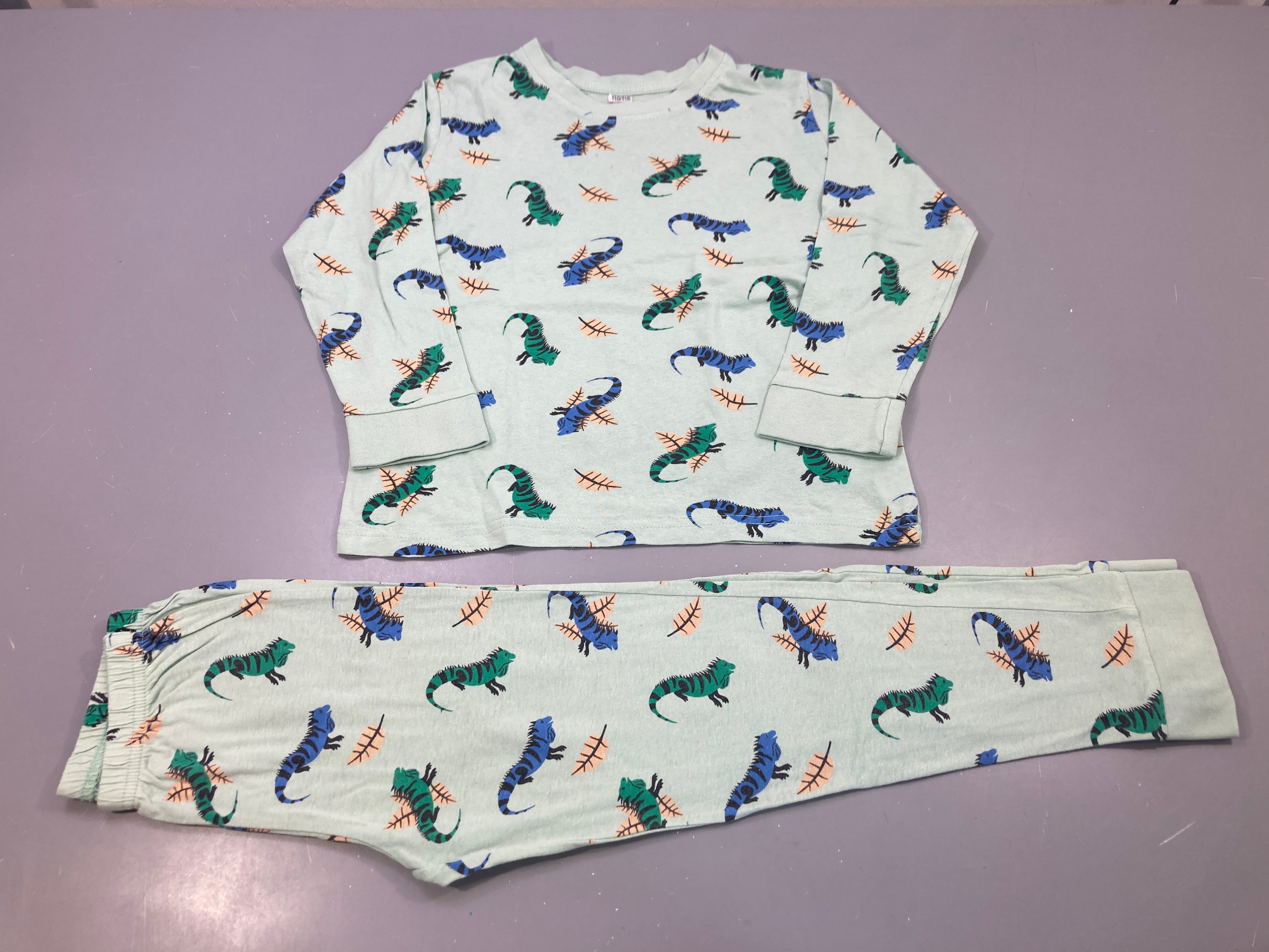 Pyjama 2pcs vert menthe imprimé iguanes feuilles