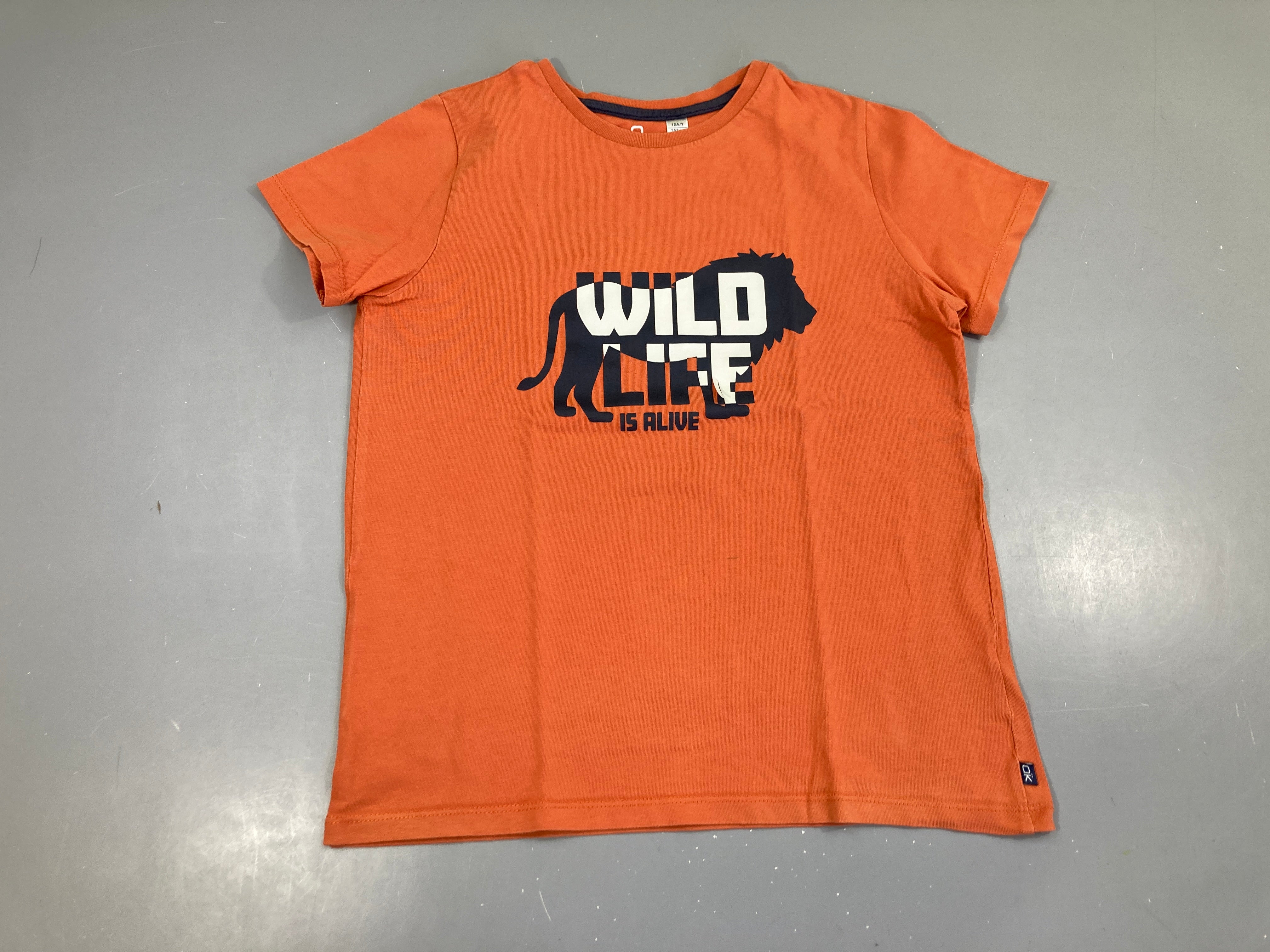 T-shirt m.c orange Wild life lion