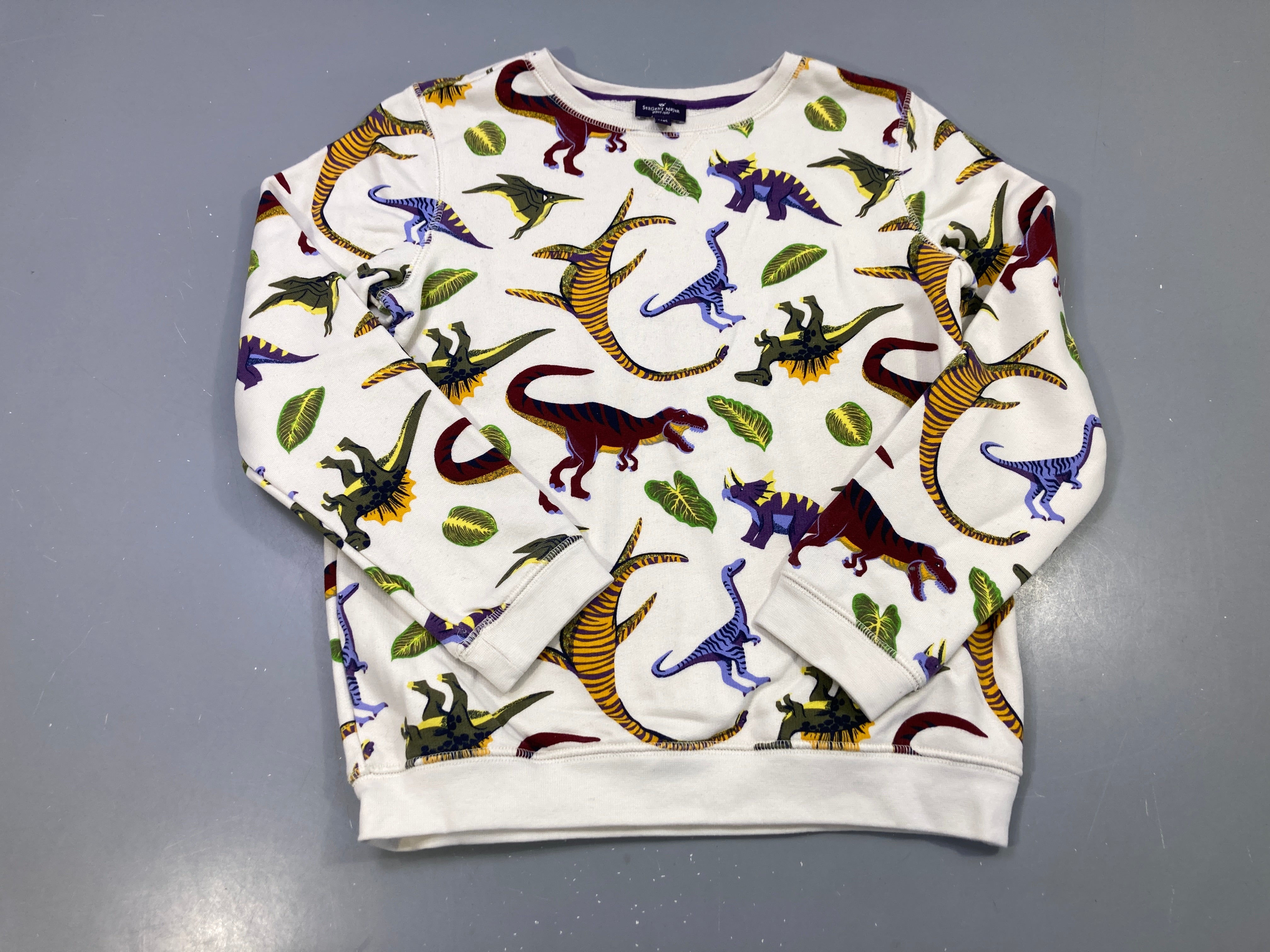 Sweat écru imprimé dinosaures multicolores