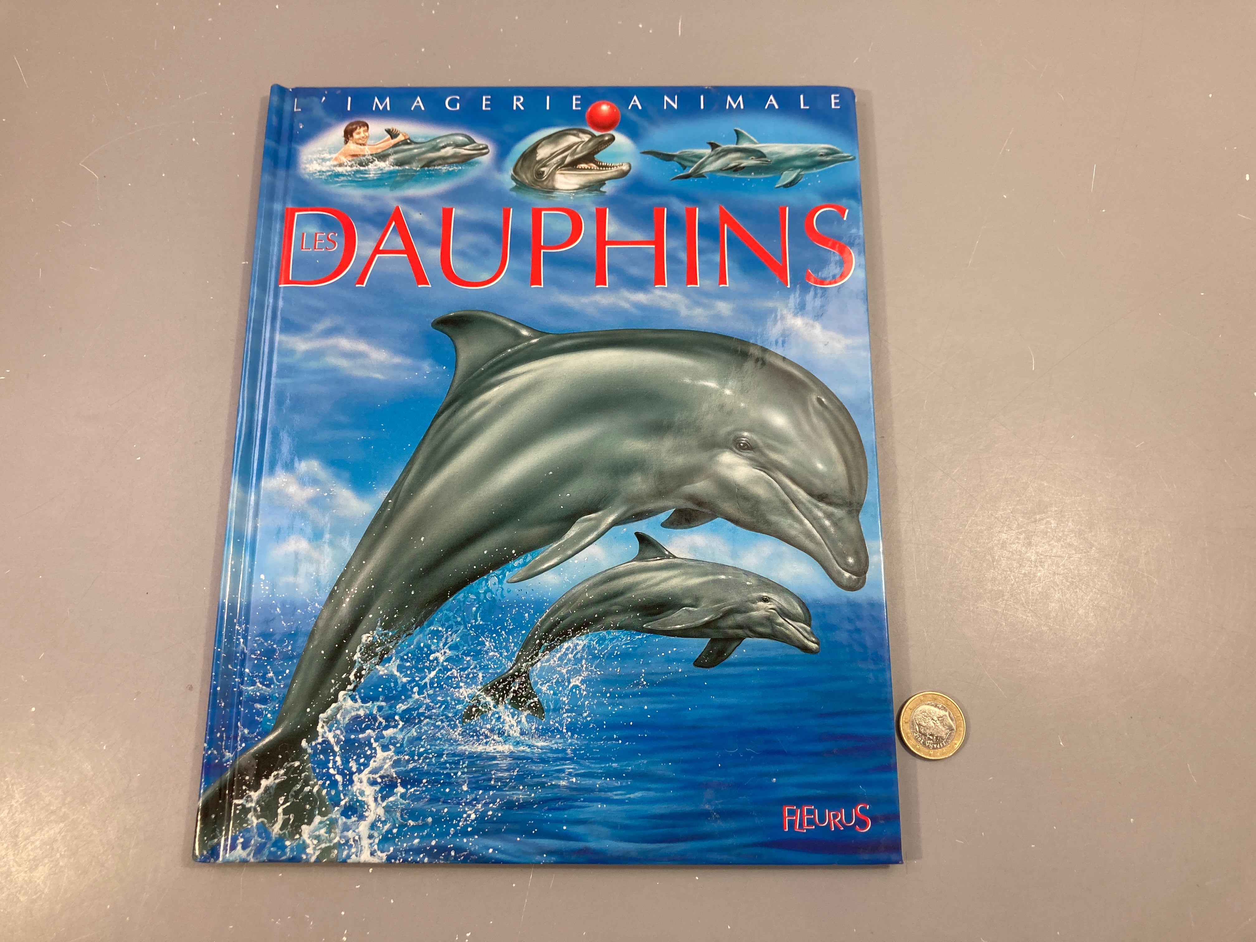 L'imagerie animale-Les dauphins