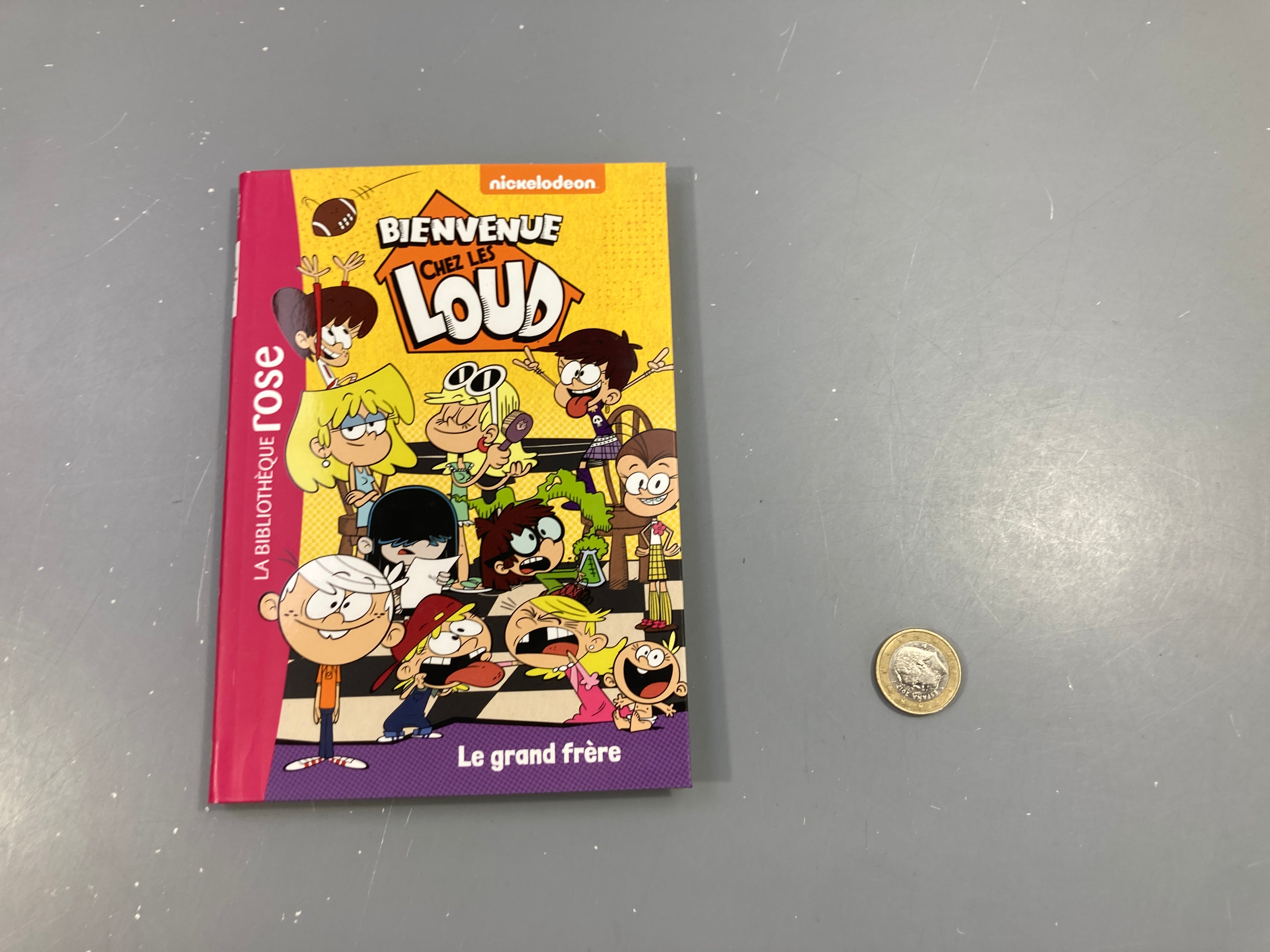 Bienvenue chez les Loud-Le garnd frère-Bibiothèque rose