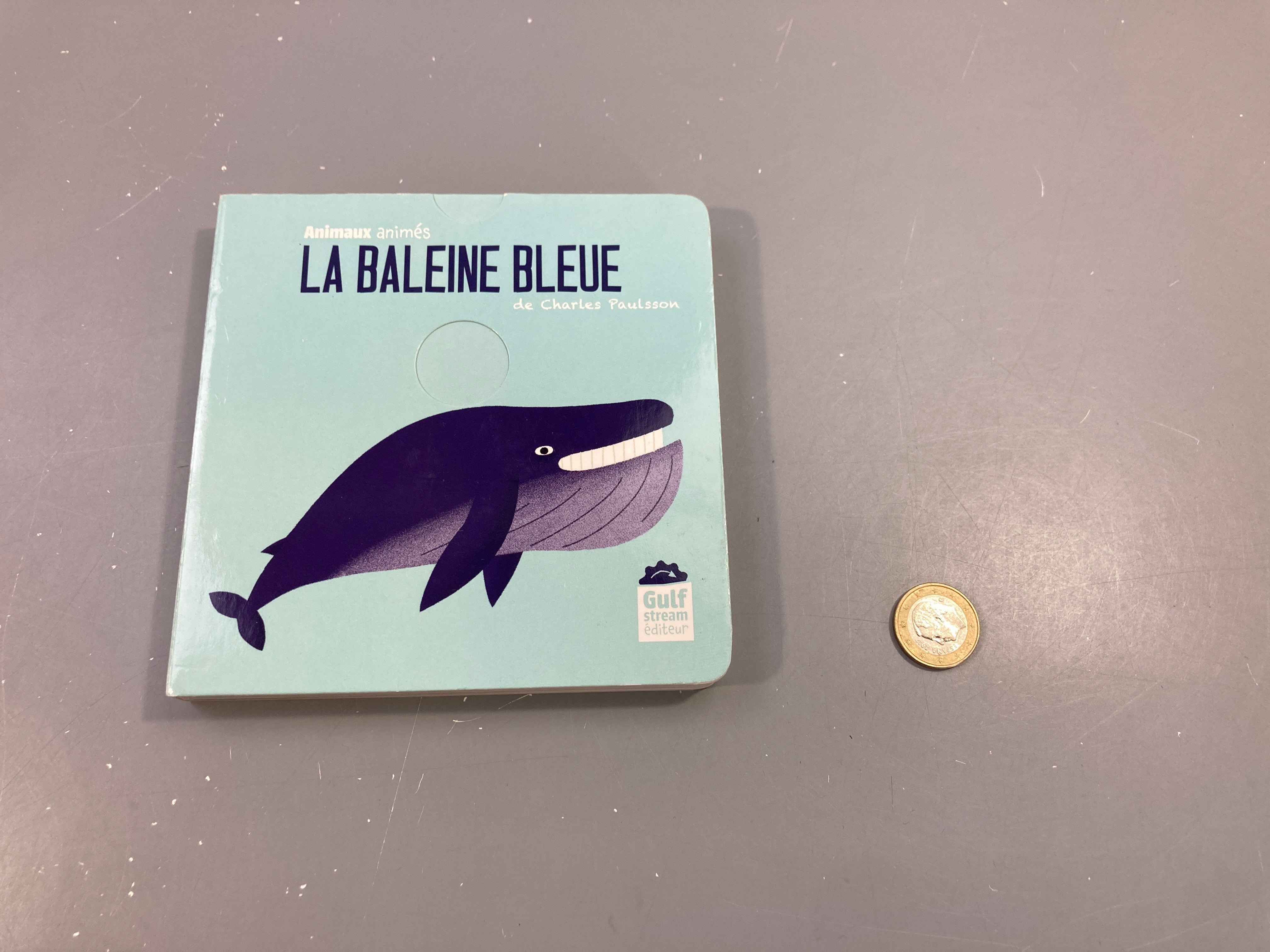 La baleine bleue-Aniamux animés