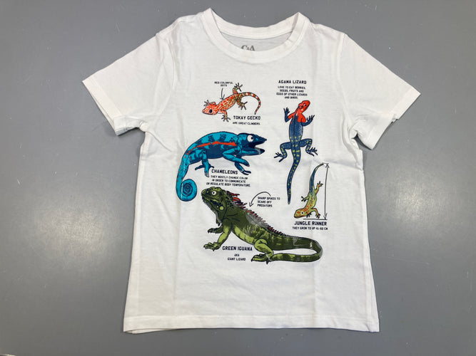 T-shirt m.c blanc reptiles, flocage se décolle, moins cher chez Petit Kiwi
