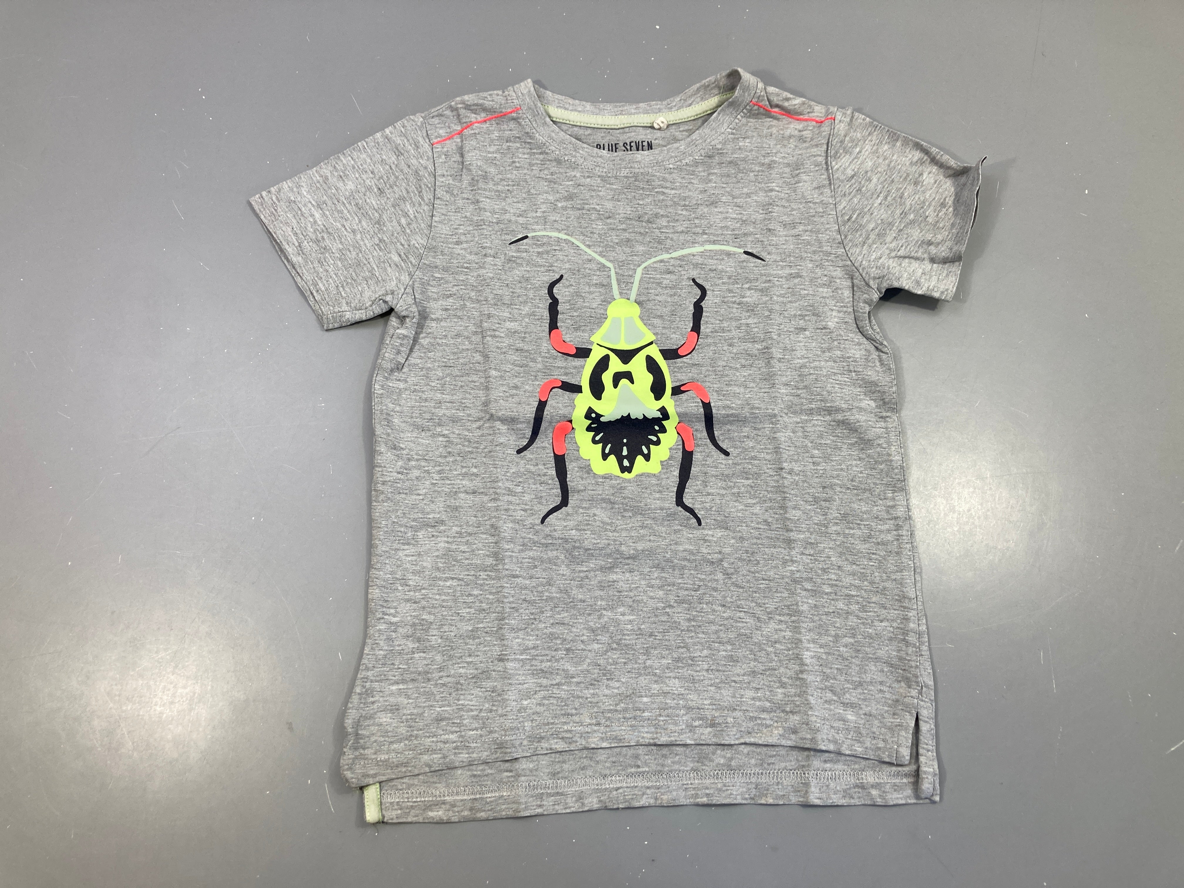 T-shirt m.c gris chiné insecte