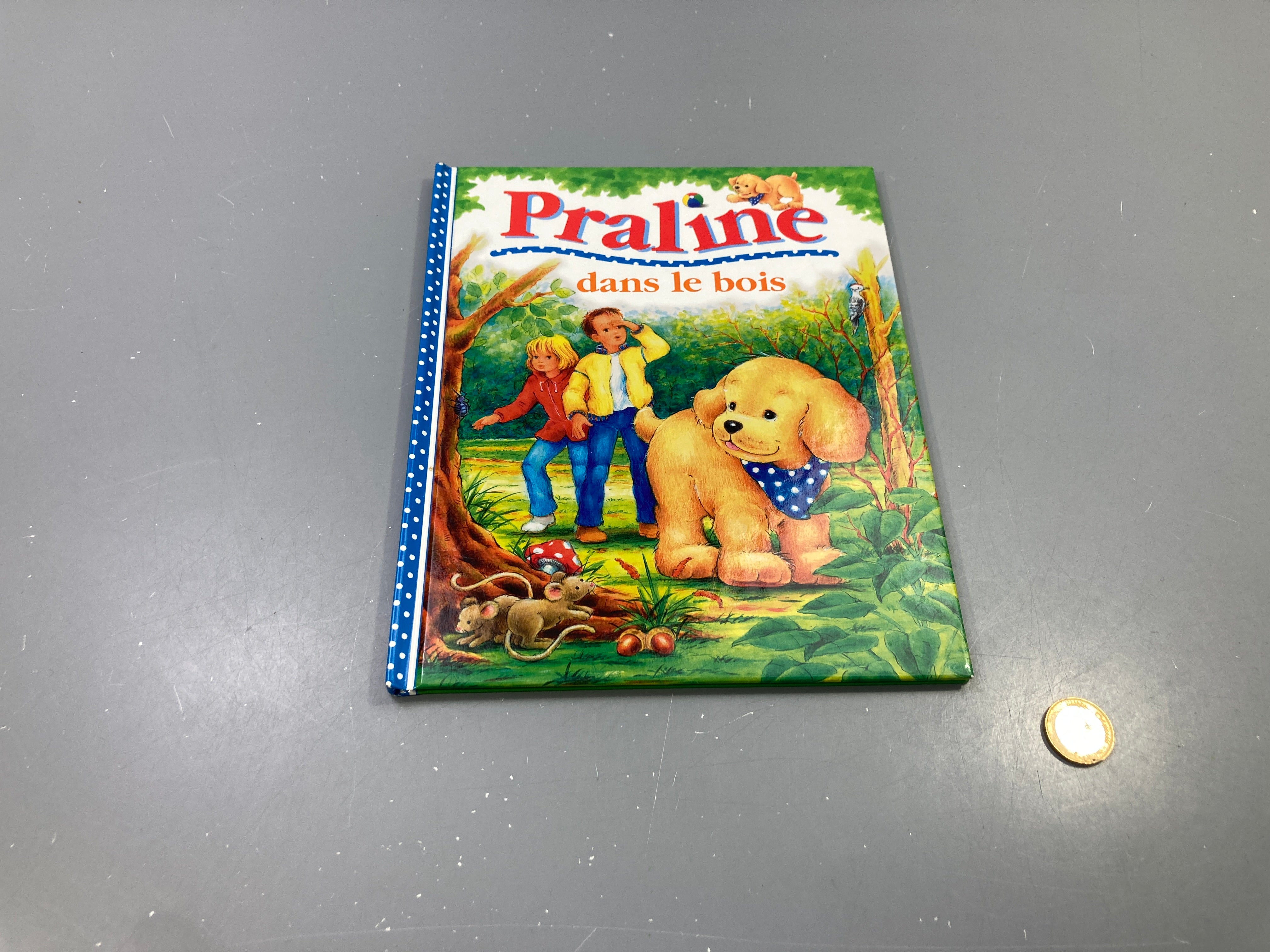 Praline dans le bois