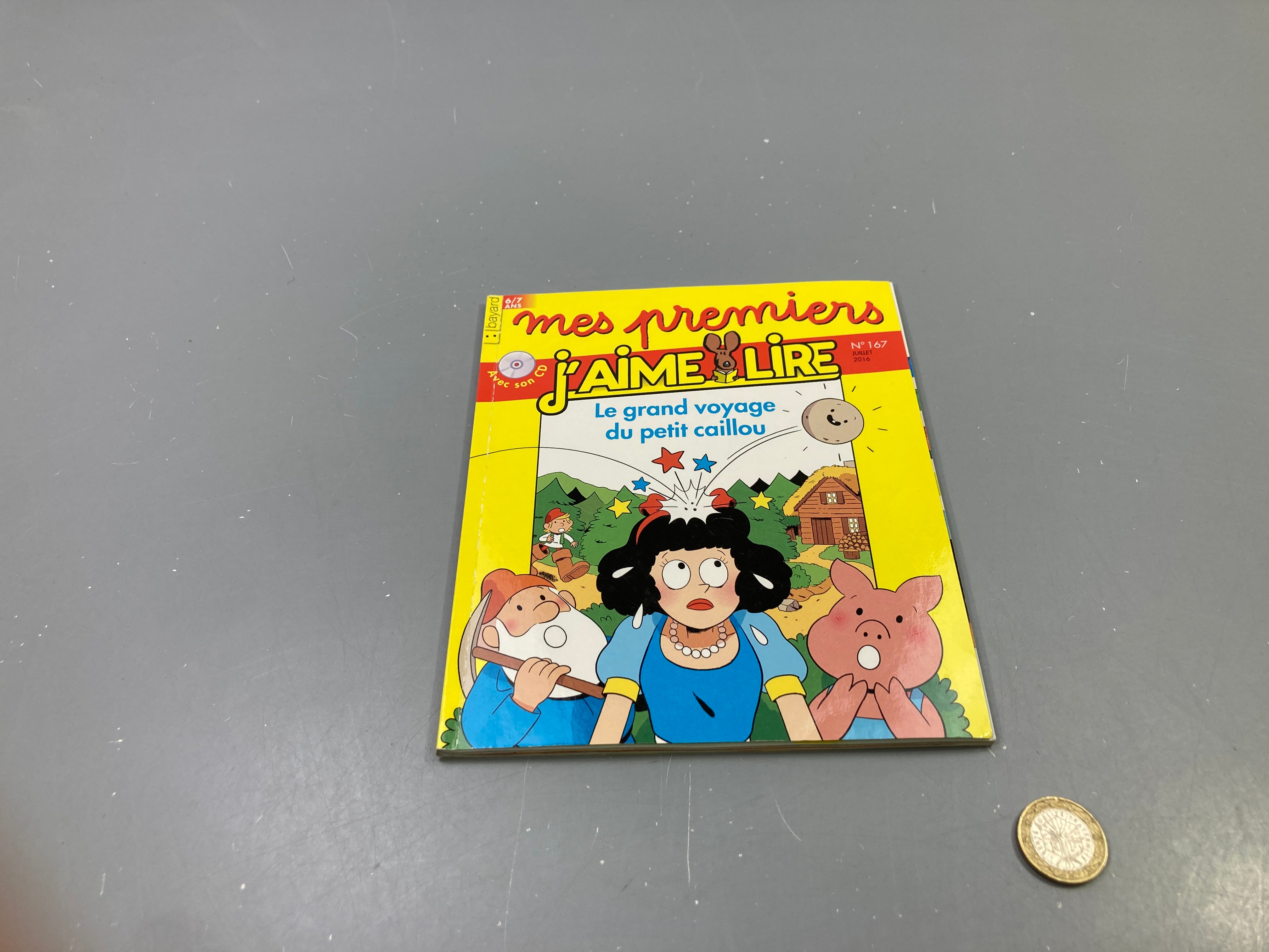 Mes premiers J'aime lire n°167, Le grand voyage du petit caillou, Bayard
