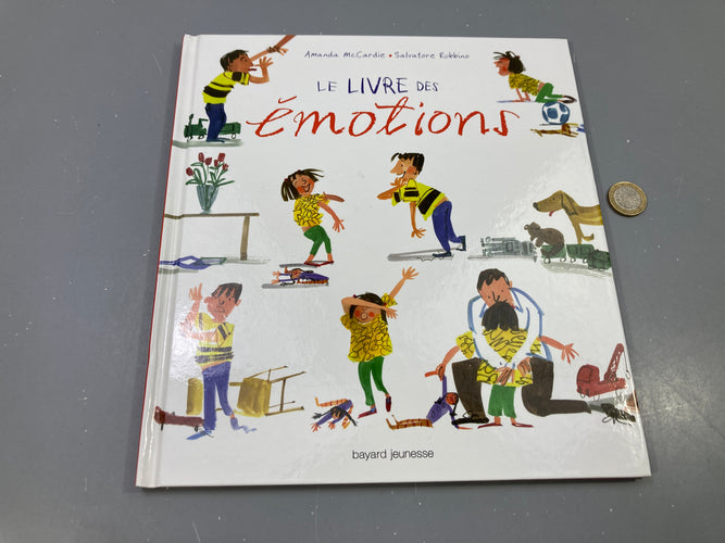 Le livre des émotions, Amanda McCardie, Salvatore Rubbino, Bayard Jeunesse, moins cher chez Petit Kiwi