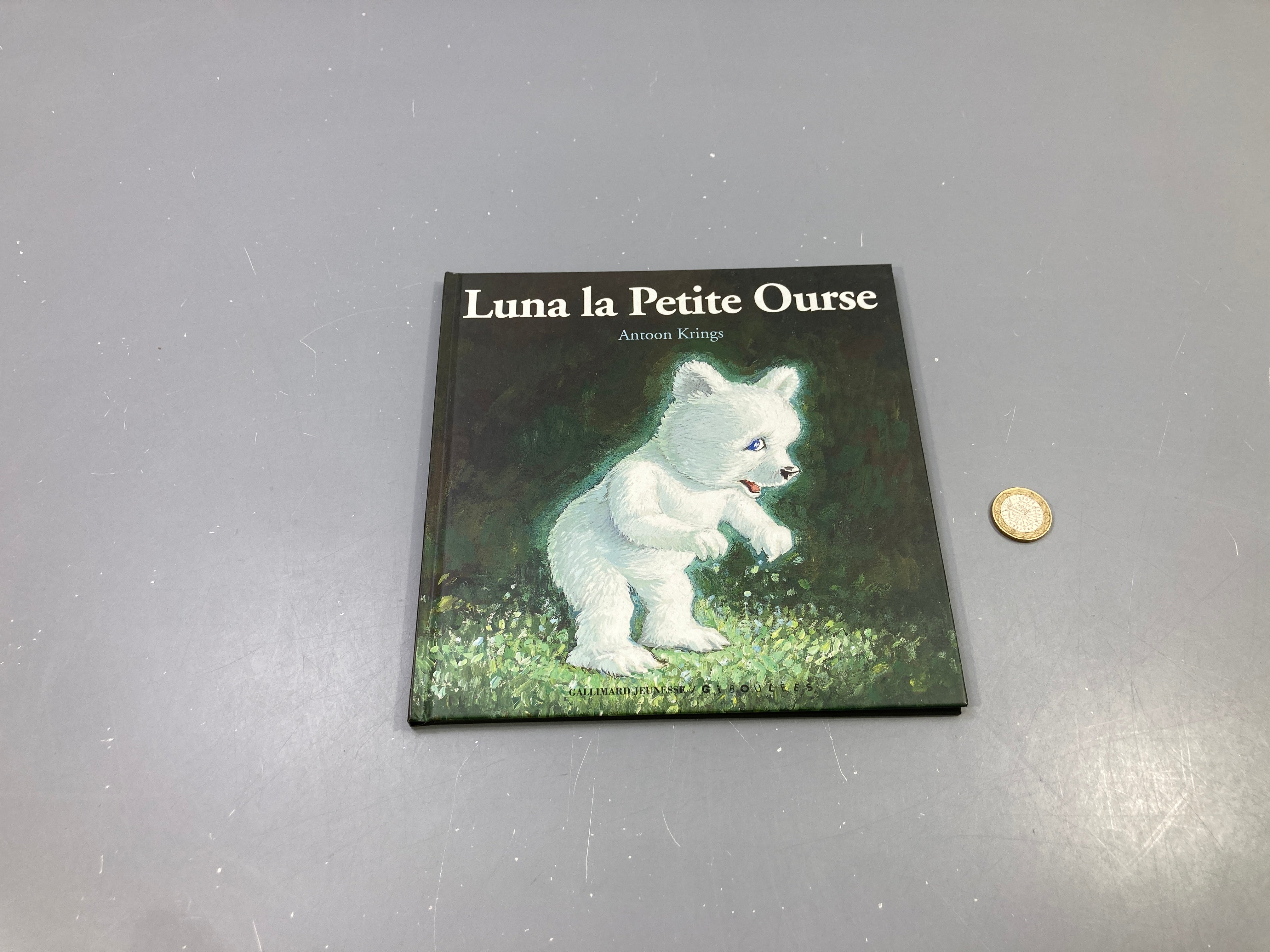 Luna la Petite Ourse, Antoon Krings, Drôles de petites bêtes, Gallimard Jeunesse/Giboulées