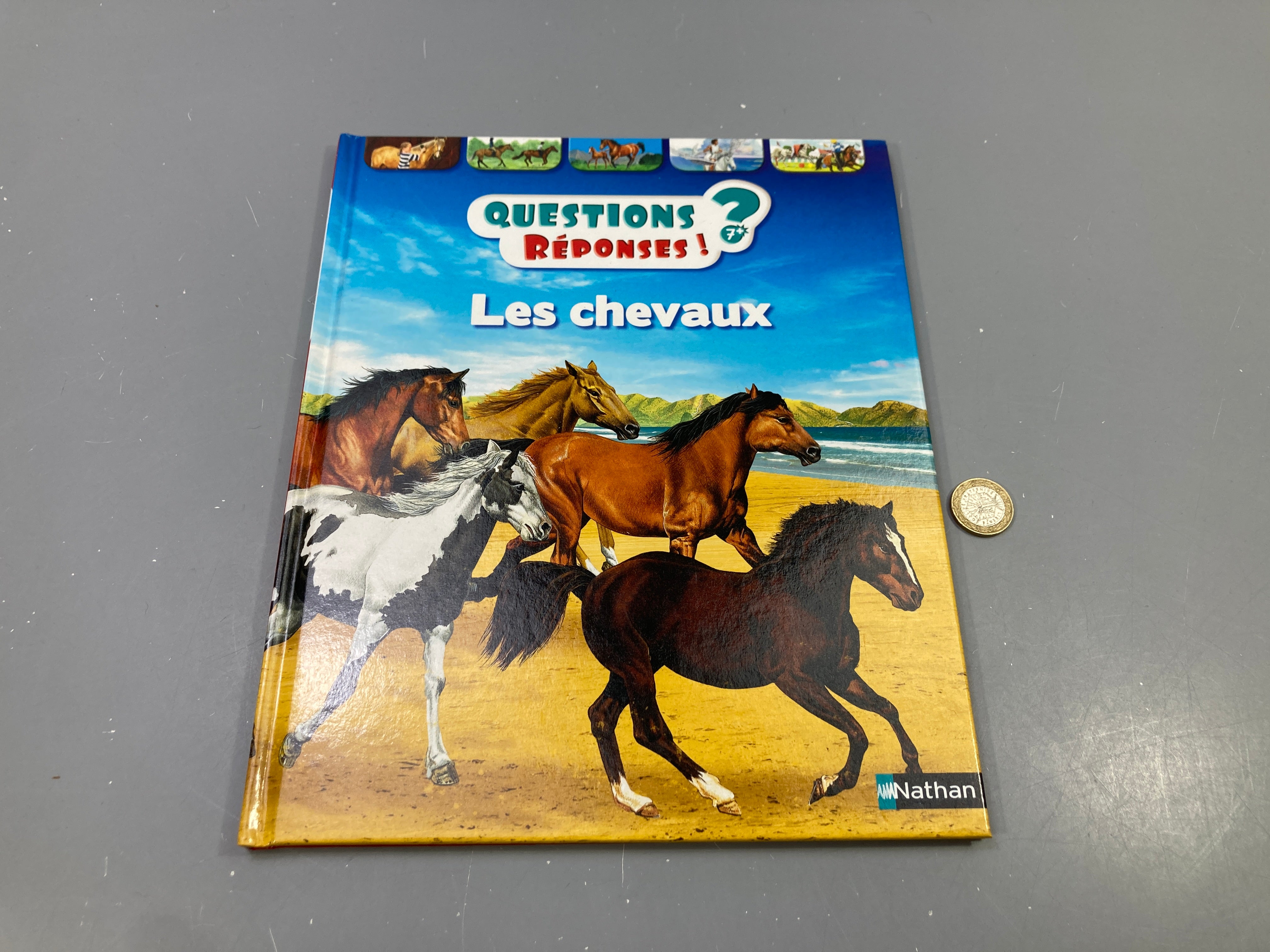 Livre Questions Réponses, Les chevaux, 7+