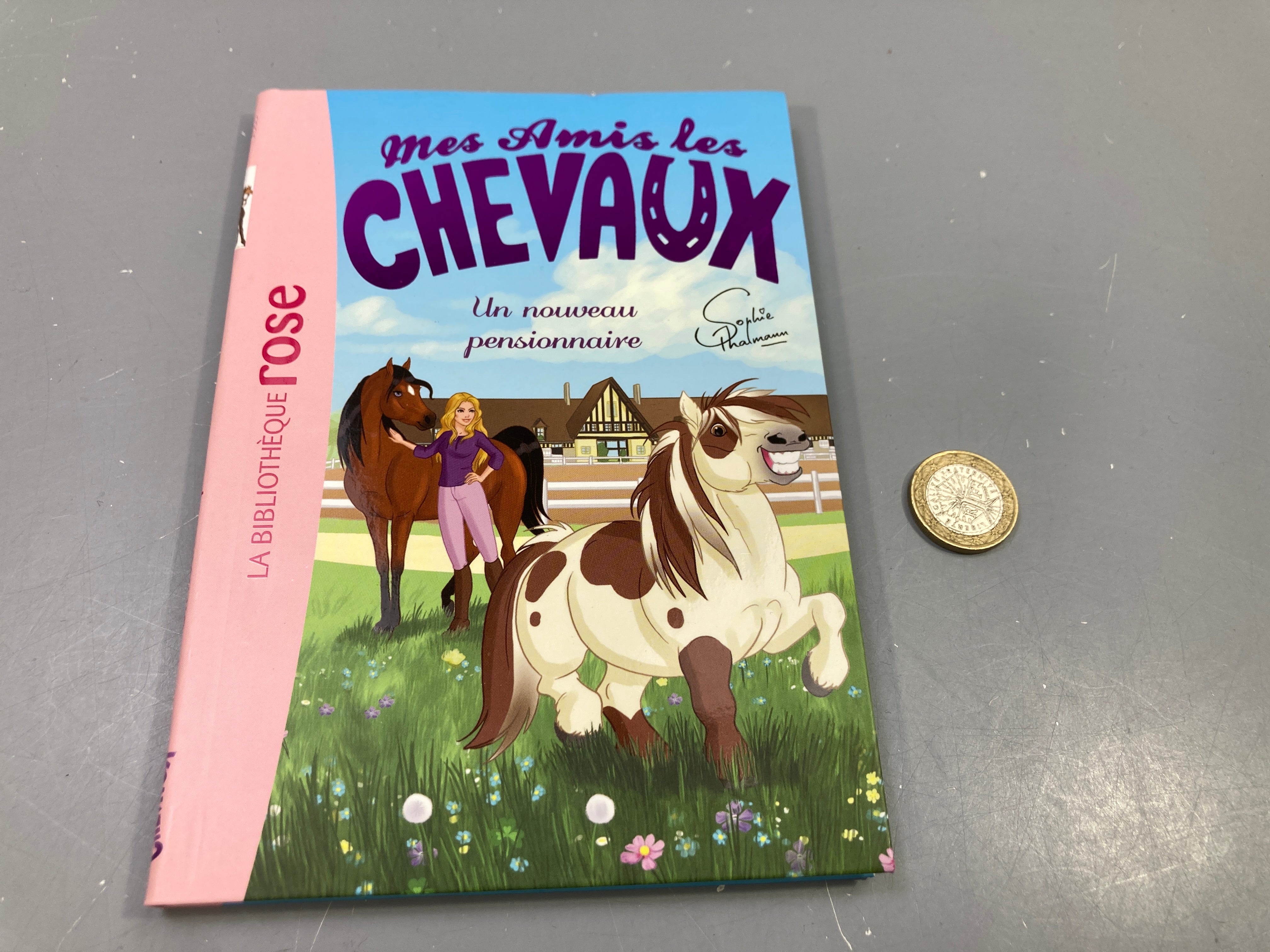 Livre Mes amis les chevaux, Un nouveau pensionnaire, Sophie Thalmann, Bibliothèque rose