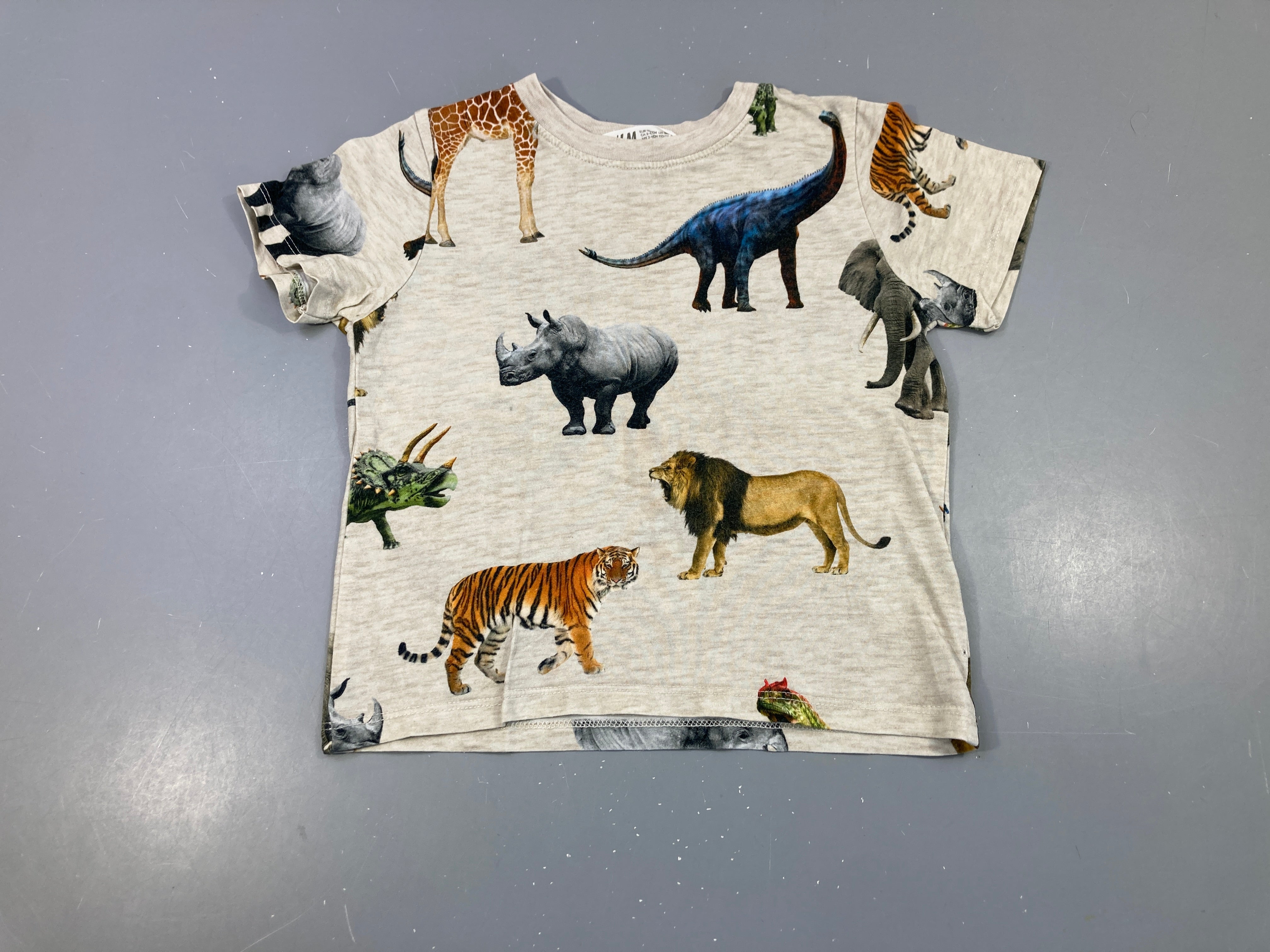 T-shirt m.c beige flammé animaux